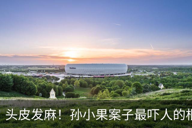 头皮发麻！孙小果案子最吓人的根本不是他行凶有多狠，他妈孙鹤予早就被开除公职，继父李桥忠就只是五华区城管局局长